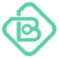 BMJ币(BMJ)期权?