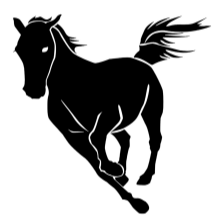 FMUSK币(黑马币)客户端?