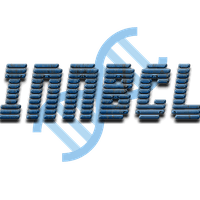 INNBCL币(INNBCL)暴涨了吗? INNBCL币投资前景?