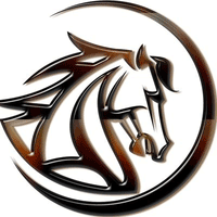 MST币(MustangCoin)有保护投资者机制吗?