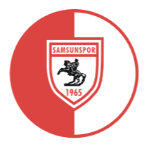 SAM币(Samsunspor Fan Token)在那里下载?