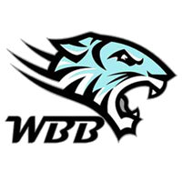 WBB币(WBB)最新价格行情?