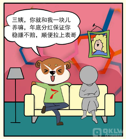 致富项目养鸡_致富养鸡视频_养鸡致富经