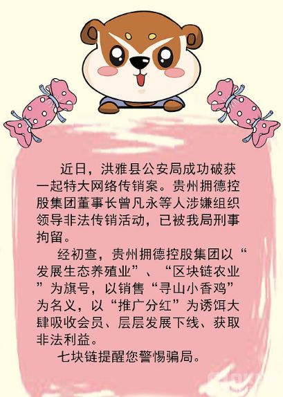 致富项目养鸡_养鸡致富经_致富养鸡视频