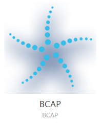 BCAP-Blockchain Capital-区块链资本	