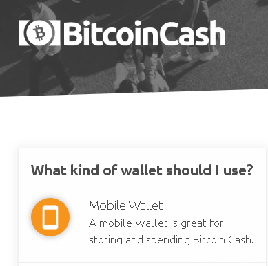 What kind of wallet should I use?