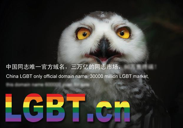 LGBT.CN域名