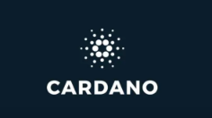 Cardano生态定义