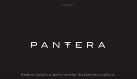 PanteraCapital 投资定义