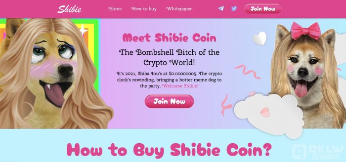 $SHIBIE 价格能涨到多高 – 1,000 倍收益即将到来？