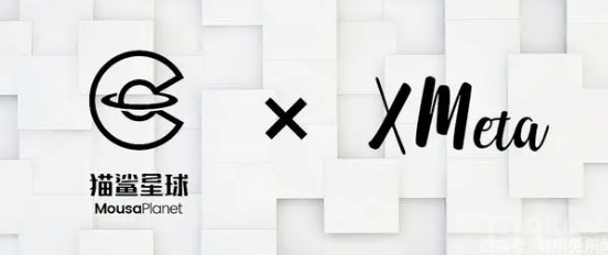 “X-Meta”数字藏品简介