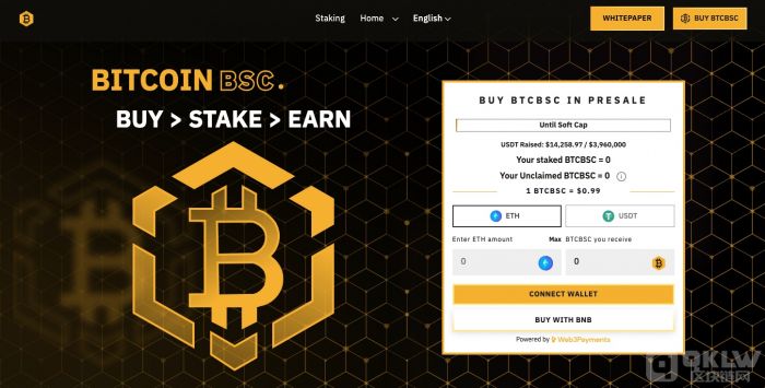比特币价格在25,000美元停滞　新比特币Bitcoin BSC具爆发潜力