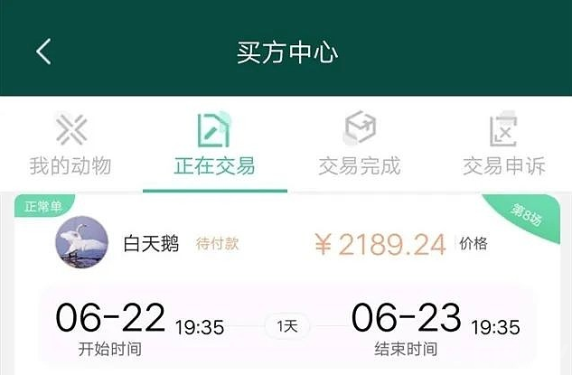 币圈打诈骗之：动物世界