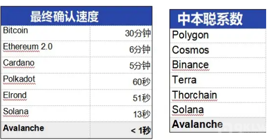 全面解读ava是什么