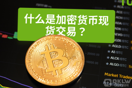 虚拟货币现货交易指南:概念操作与风险管理