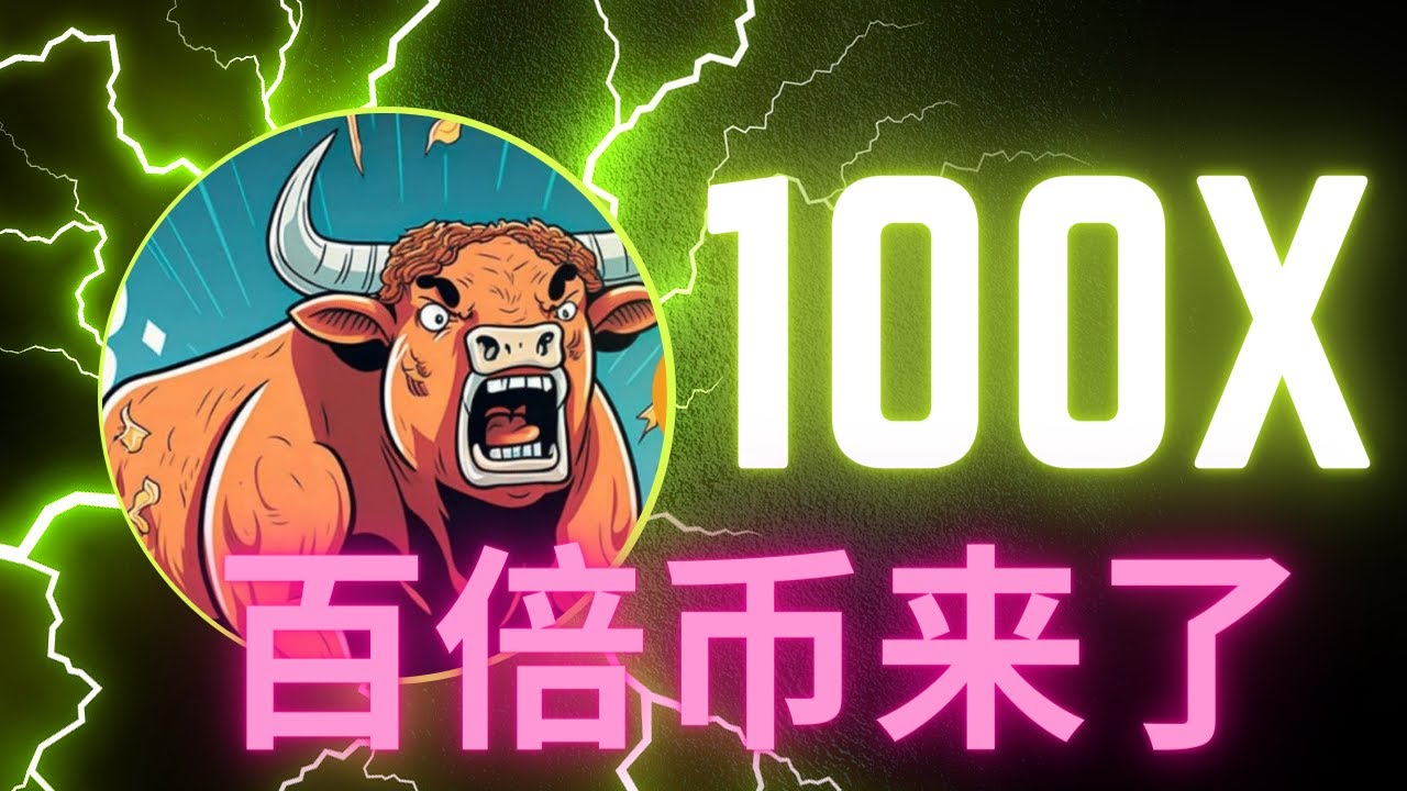 什么是百倍币？百倍币深度解析